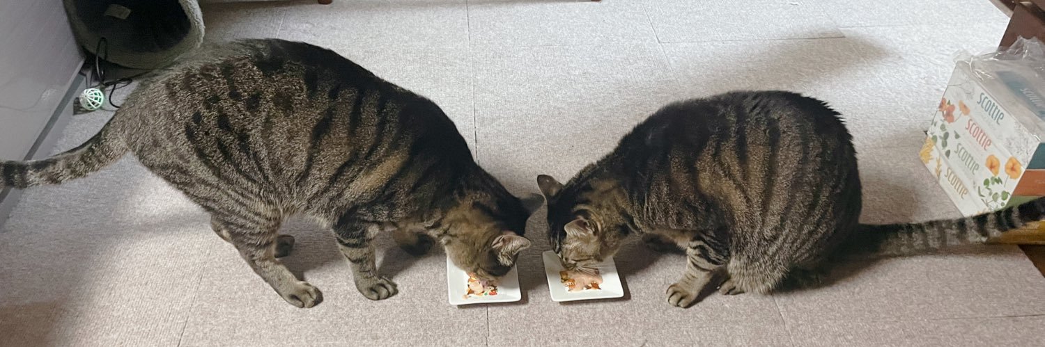 凸ちゃん 神保町 古本屋 なぜか押したイイネが消えます。 banner