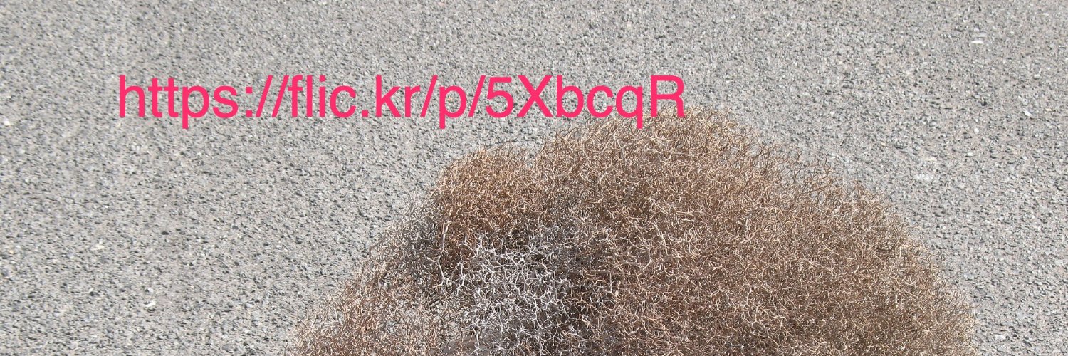 he gone, see bio banner