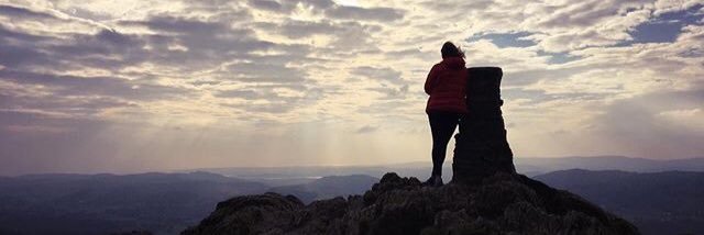 SarahWilf23's profile banner image