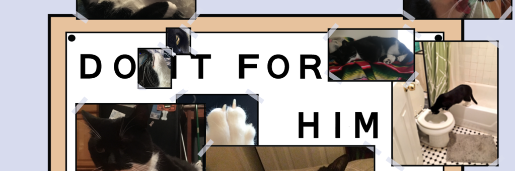 a_cool_me's profile banner image