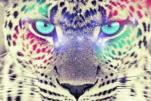 angylunax's profile banner image