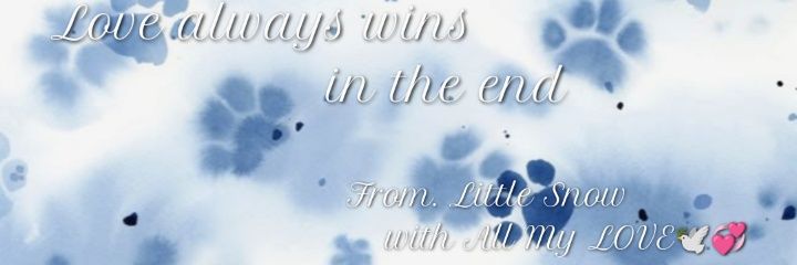Little_Snow1216's profile banner image