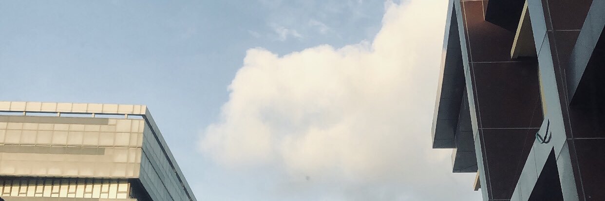 pingintruk banner