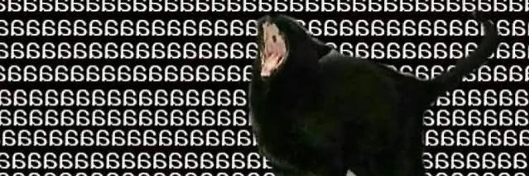 c banner