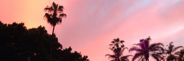 winnyteh Profile Banner