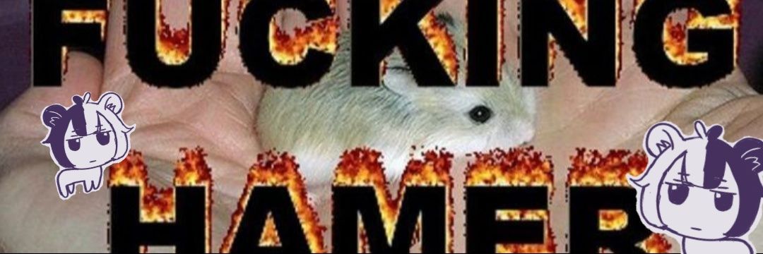 🐹 hammy 🍖💀's banner