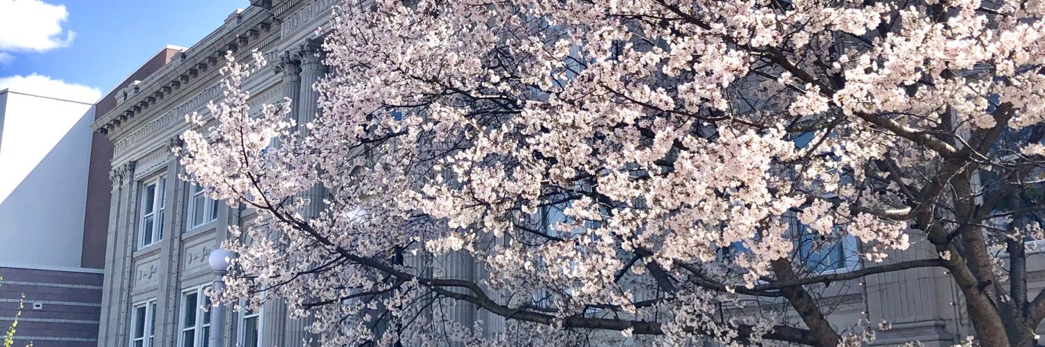 JacksonArtsCoun's profile banner image