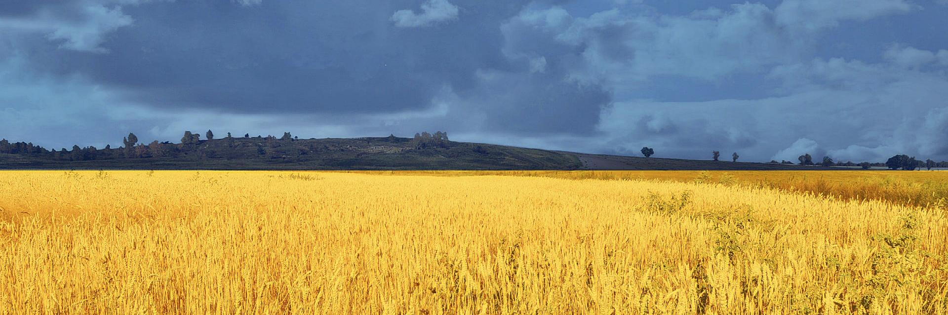 4UnitedUkraine's profile banner image