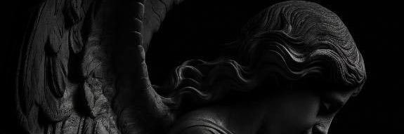 mayberadin's profile banner image