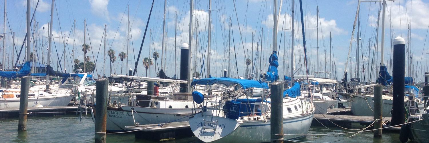 Erica Roberson banner