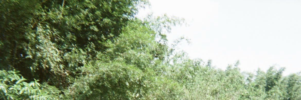 ecnli's profile banner image