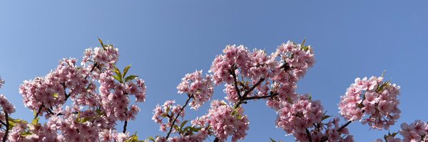kebadachi_keba Profile Banner