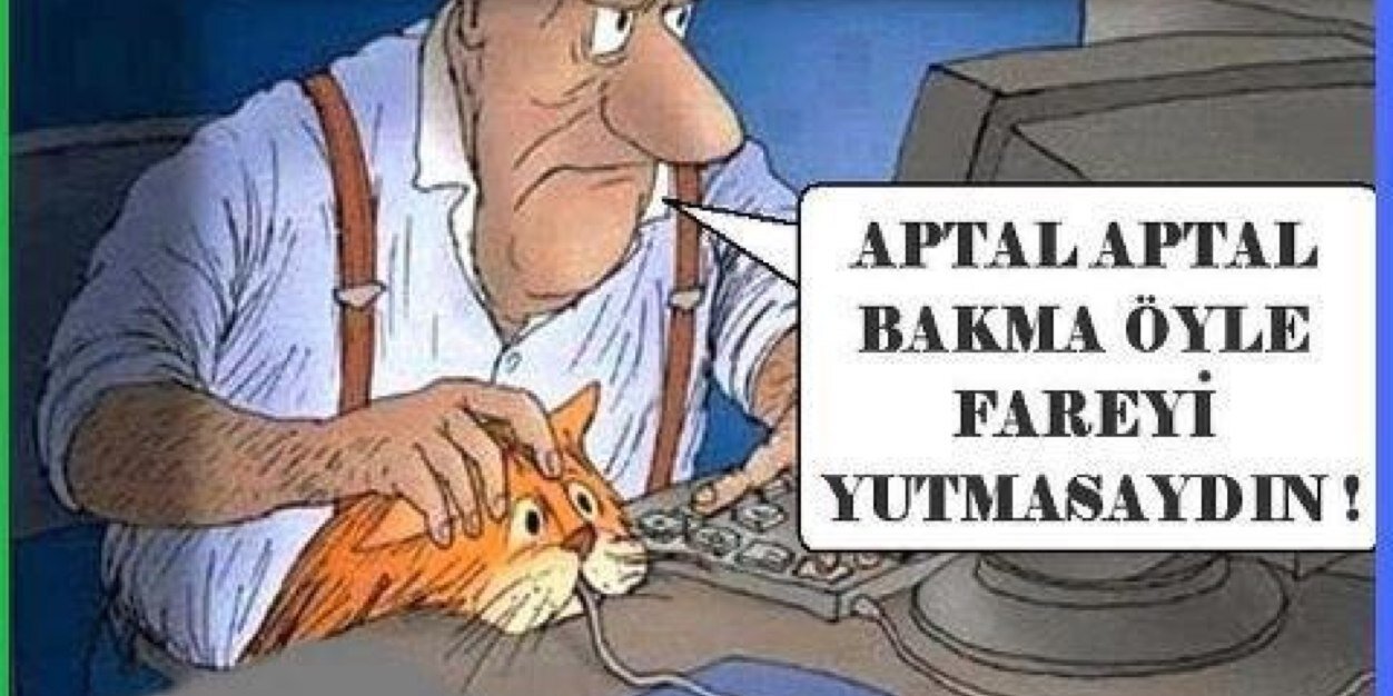 elifalkim's profile banner image