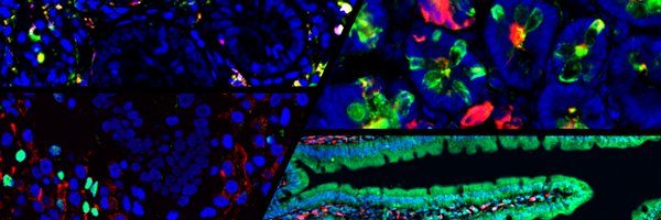 ChirdoLab Profile Banner