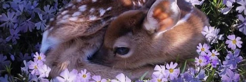 JBX_Qa's profile banner image
