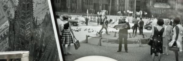 pauneu Profile Banner