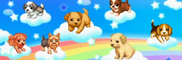 StarGazaar Profile Banner