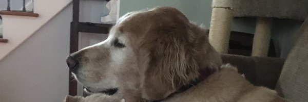 CkM65567955 Profile Banner