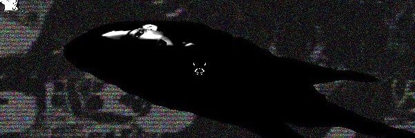 auruomo 🐟's banner