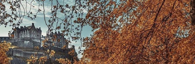 ThatWriterGirl3's profile banner image