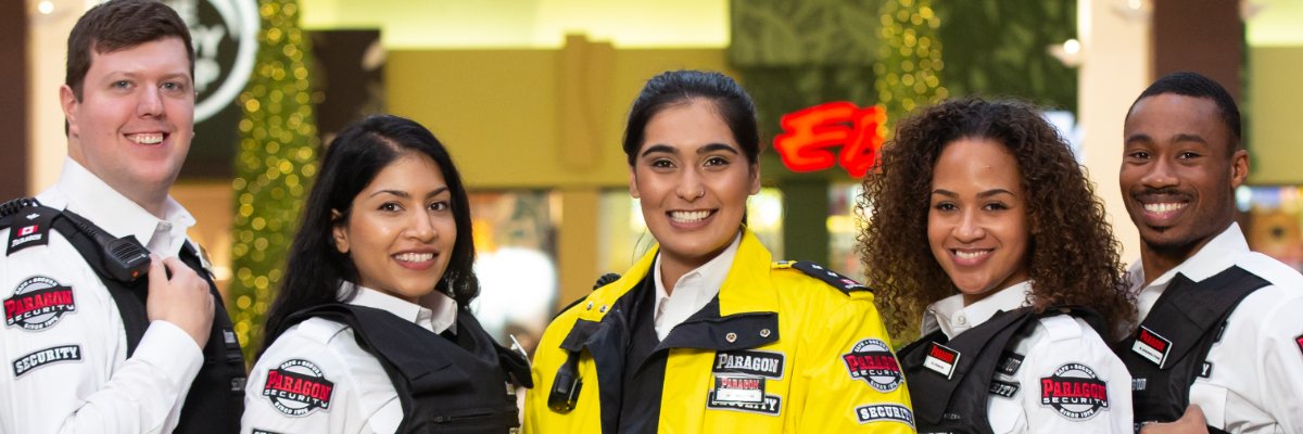 Paragon Security banner