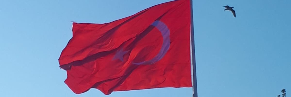 dietunes banner