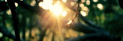 SofiBardeggia's profile banner image