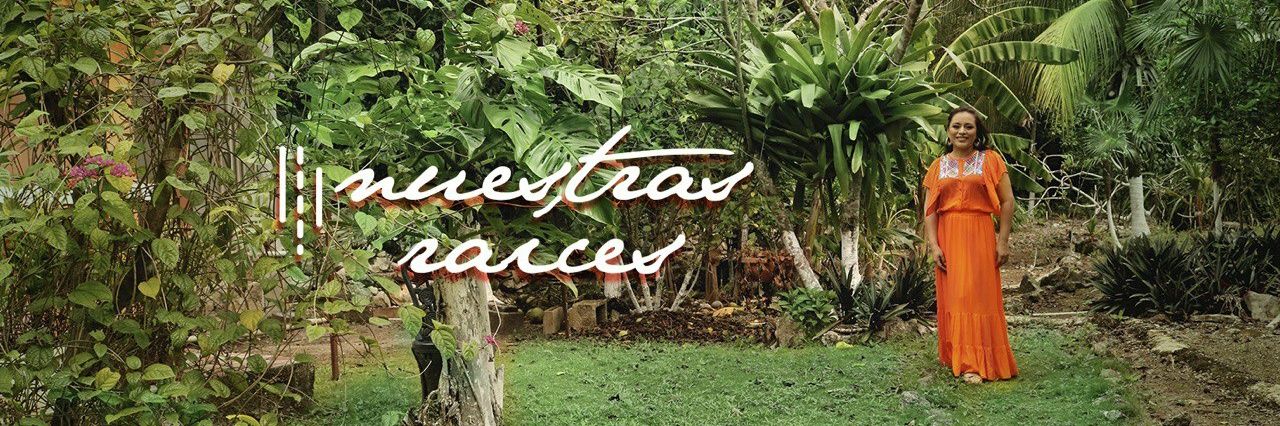 perlatunmx's profile banner image