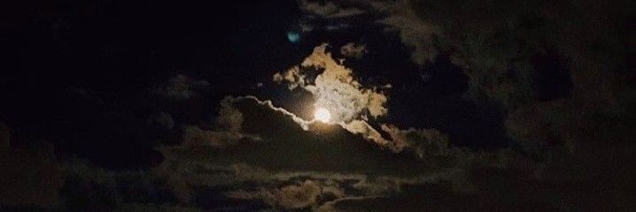 SYMAshaz's profile banner image