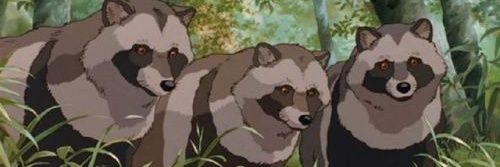 teokumuss 🍊,💊 banner