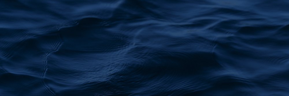 Gremi de Marejants banner