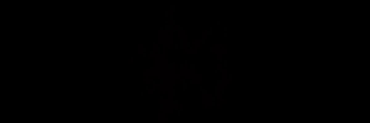 📁's banner