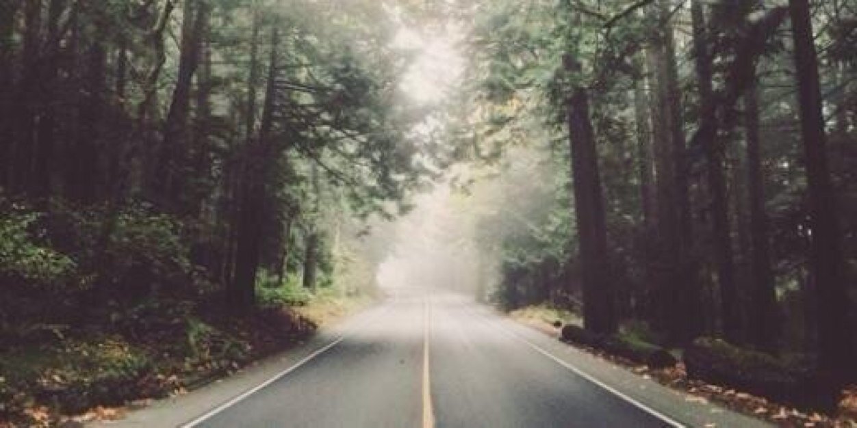 zouistagram's profile banner image