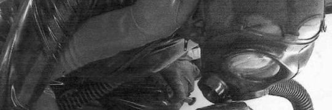 ♰ kaz⁷ chupa-cu da zs banner