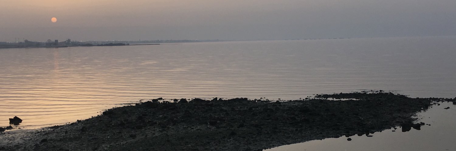 esatish74's profile banner image