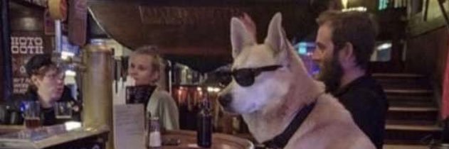 direwolf114's profile banner image