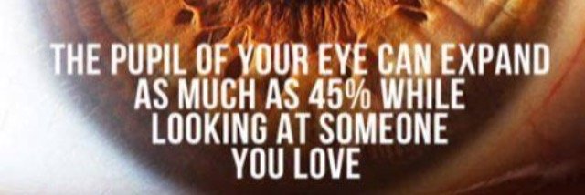 1lifetime4u's profile banner image