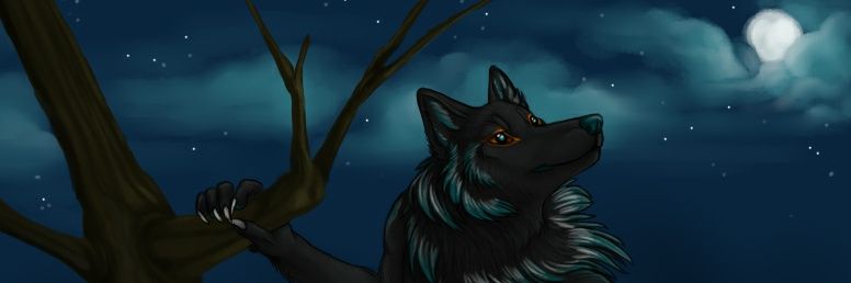Kins Wolf banner