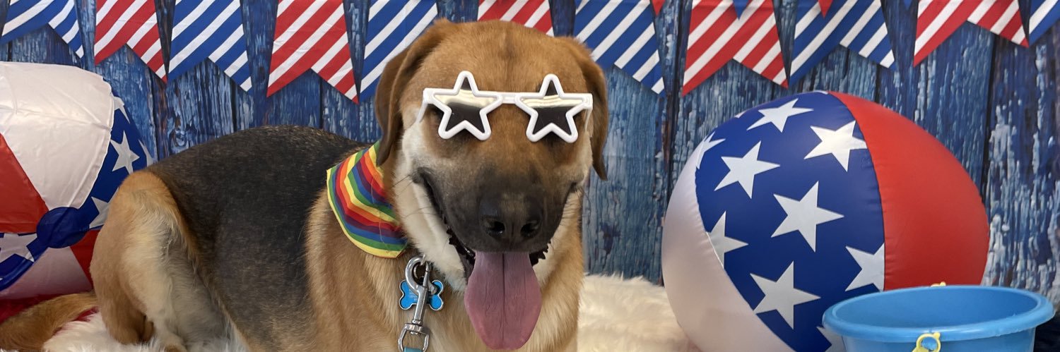 Kennedyfaina's profile banner image