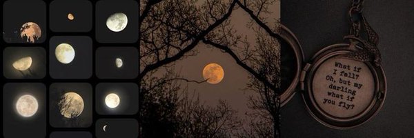 joyrennu Profile Banner