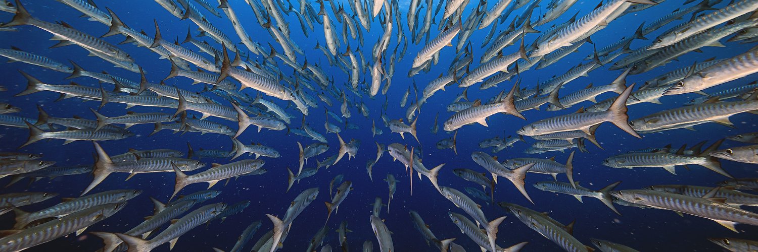 John P. Friel, Ph.D. banner