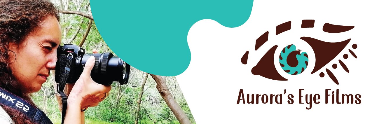 auroraseye's profile banner image