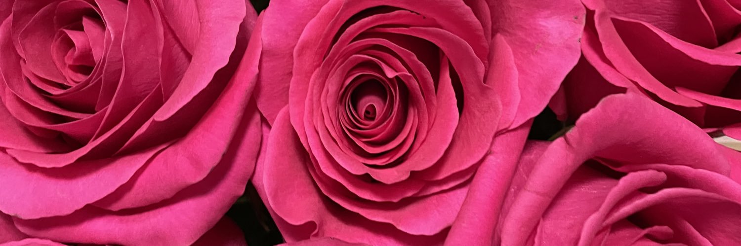 Jessshetzel's profile banner image