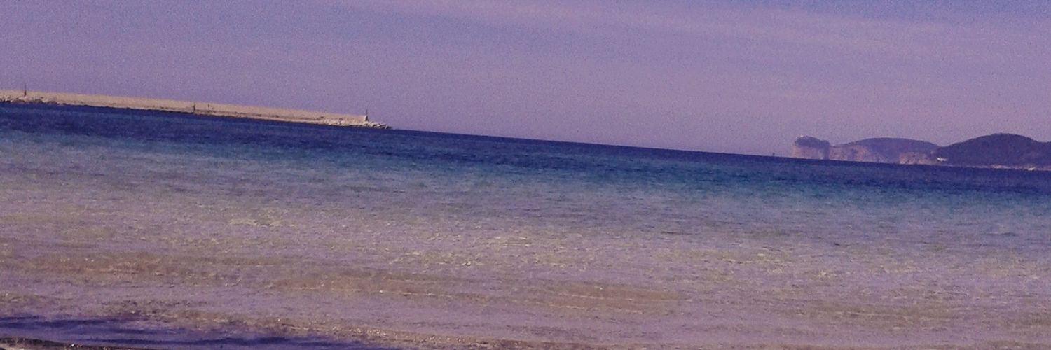 saronch1's profile banner image