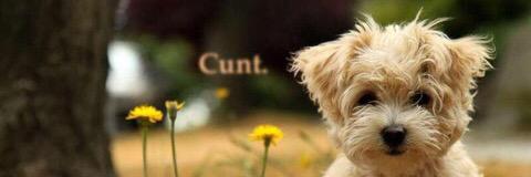 trystan_XLY's profile banner image