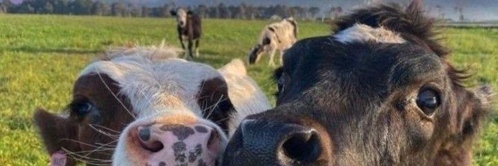 ydra98's profile banner image
