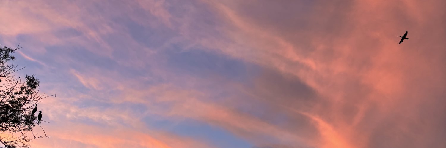 Maddzdd's profile banner image