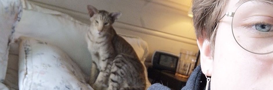 aeikeseth's profile banner image