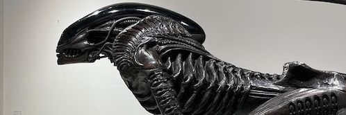 bio_weaponXAE's profile banner image