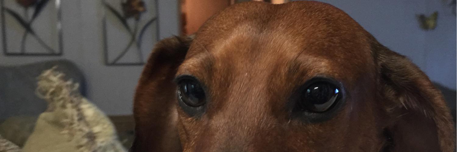 Angie Markham banner